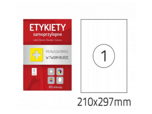 ETYKIETA COLORPLUS 210X297MM 100 ARKUSZY 100 ETYKIET
