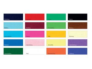 BRYSTOL A1 BIAŁY              20ARK.160G KARTON KOLOROWY