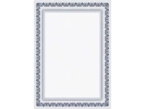 DYPLOM ARKADY NIEBIESKIE   170G  25ARK. GALERIA PAPIERU