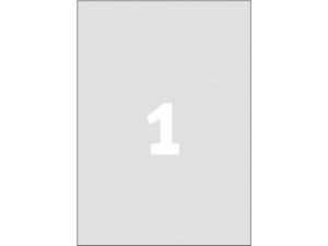 ETYKIETA AVERY ZWECKFORM L6013 ZNAMIONOWA 210X297MM 20 ARKUSZY