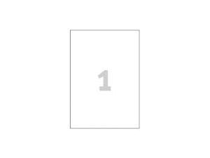 ETYKIETA AVERY ZWECKFORM L7567 210X297MM 25 ARKUSZY