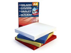 KARTON DELTA A4 SZARY ARGO