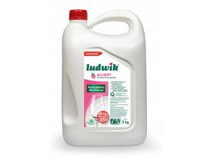 PŁYN DO NACZYŃ LUDWIK 5L MALINA