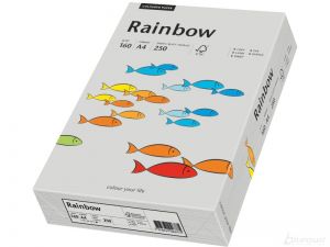 PAPIER KSERO RAINBOW A4 160G SZARY R96