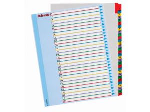 PRZEKŁADKI KARTONOWE ESSELTE A4 MAXI LAMINOWANA KARTA OPISOWA 1-31