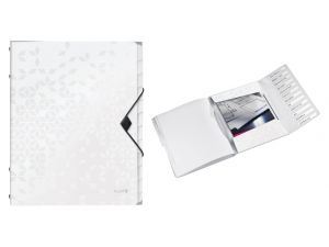 TECZKA SEGREGUJĄCA LEITZ WOW BIAŁA 12 PRZEGRÓDEK